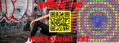 индика Донецк