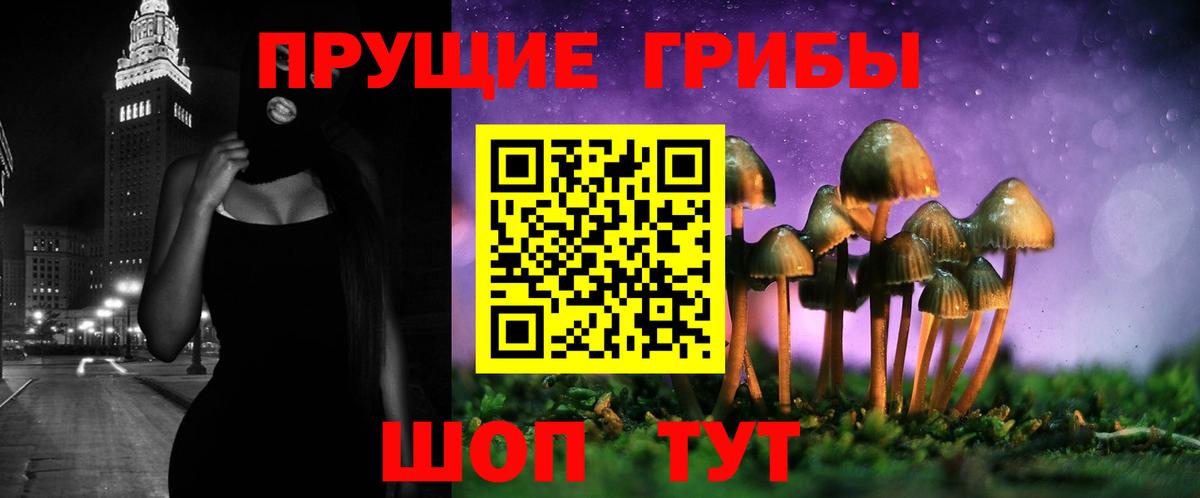 Галлюциногенные грибы мицелий  купить наркоту  Лыткарино  Вход с VPN  Галлюциногенные грибы ЛСД 